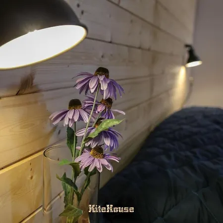 Kite House Stagnone 3* מרסאלה